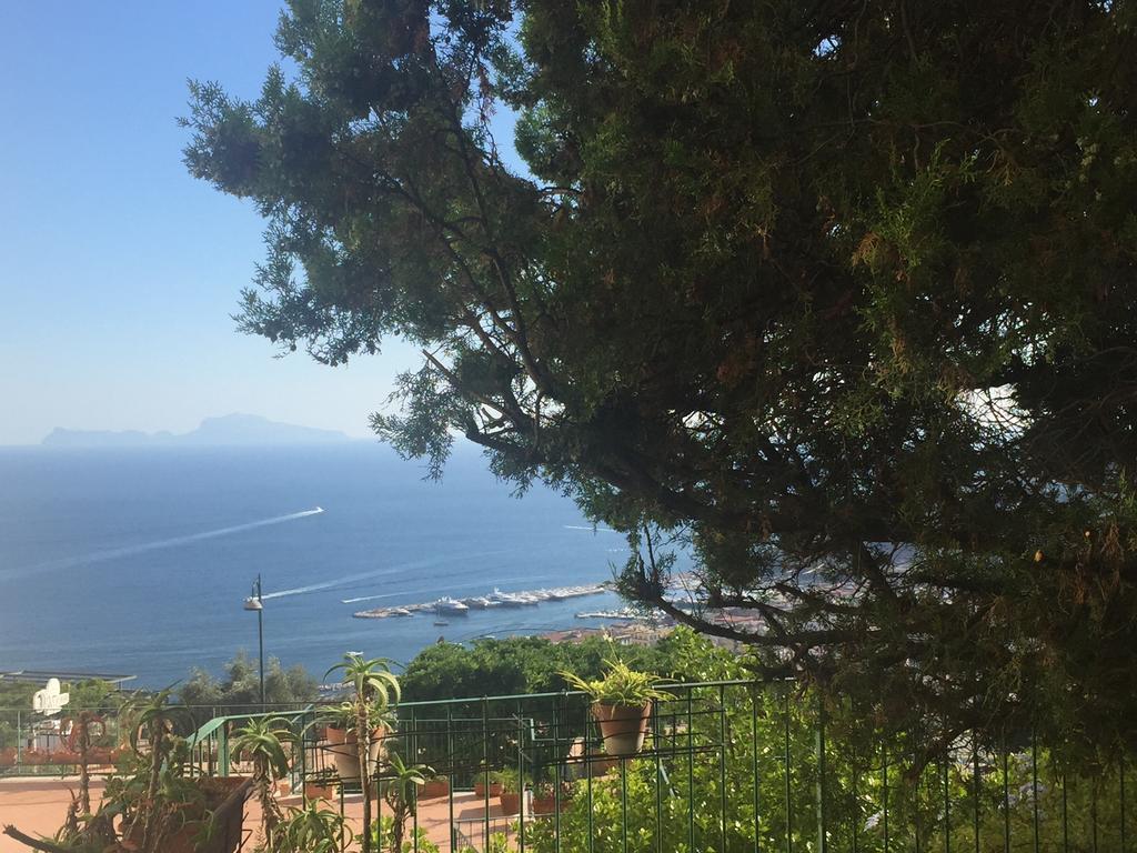 Casa Di Erminia Bed & Breakfast Napoli Eksteriør bilde