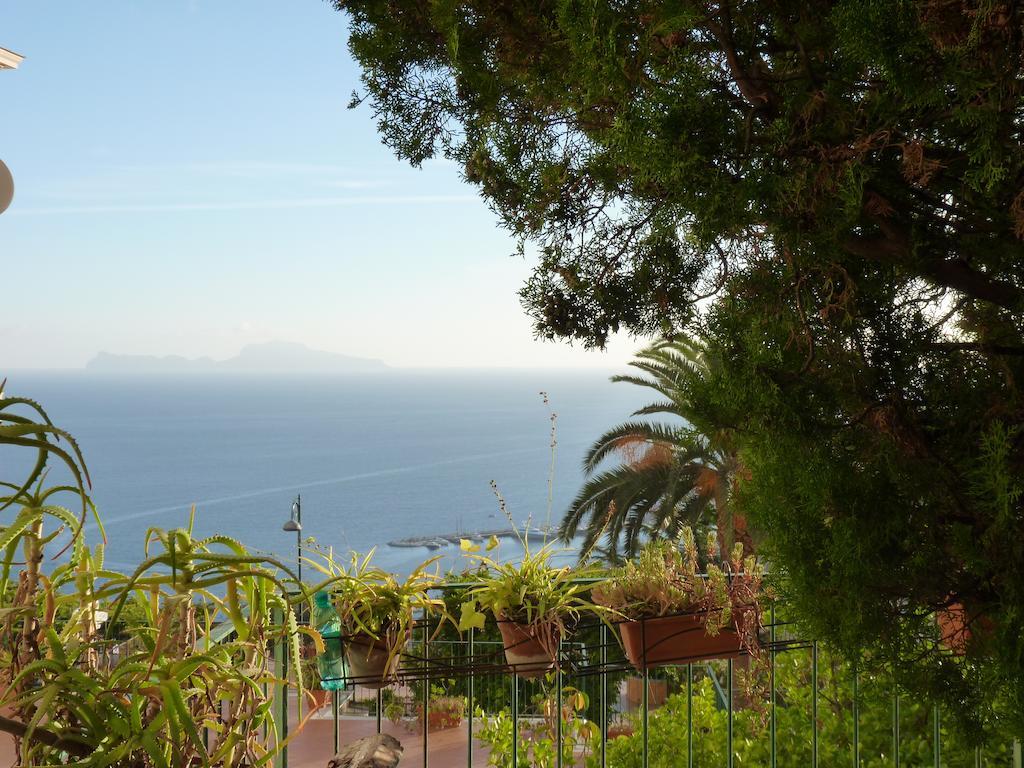 Casa Di Erminia Bed & Breakfast Napoli Eksteriør bilde
